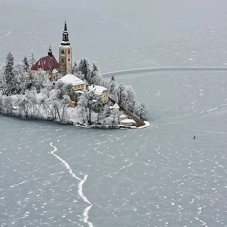 Valant * Bled