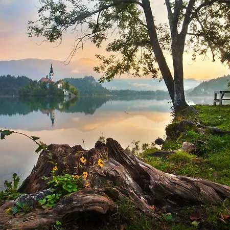 Valant Bled