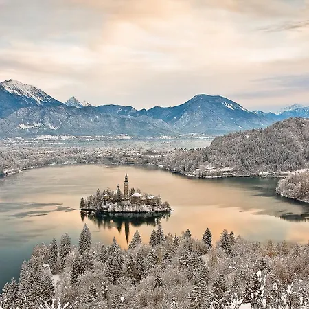 Valant Bled